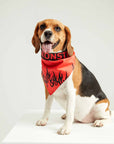 LM Black Fire Bandana