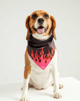 LM Black Fire Bandana