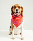LM Fire Bandana