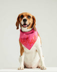 LM Fire Bandana