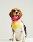 Hearts Candy Bandana