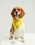 Hearts Candy Bandana