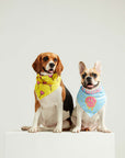 Smells Like Summer Bandana