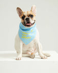 Smells Like Summer Bandana