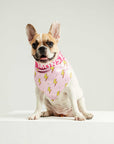 Pink Flash Bandana