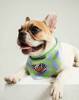 Cow Print LOVE Bandana
