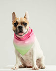 Make Waves Bandana