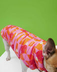 Orange Pink Checkered Puffer Mont