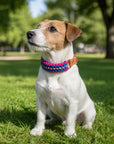 Pati Tasma Küçük