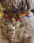Jupi's Carnival Köpek Kolye