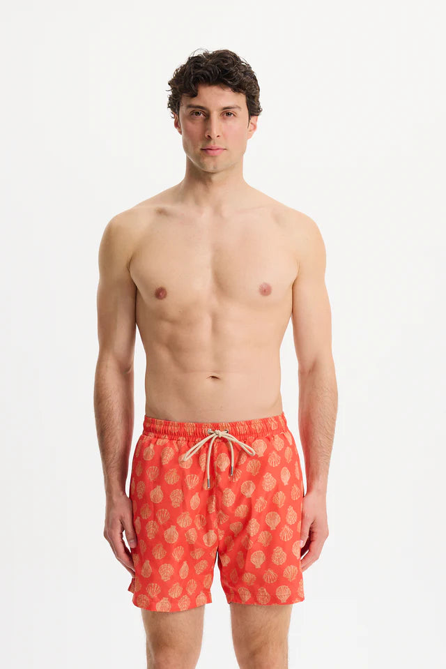 Too Hot Sorry Swim Shorts