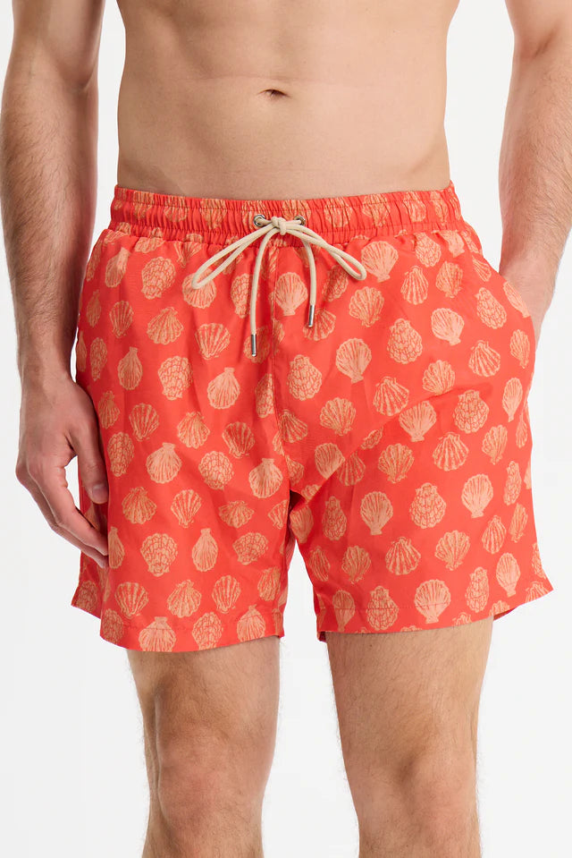Too Hot Sorry Swim Shorts