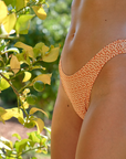 Cosmopolitan Bottom
