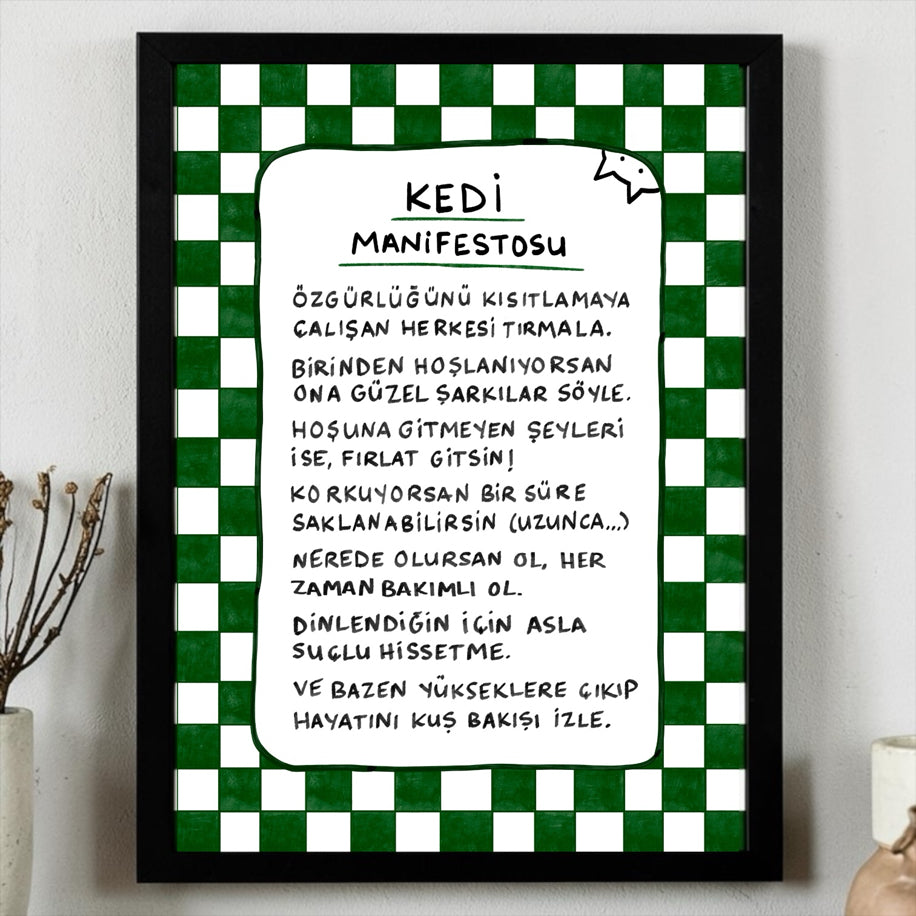 Kedi Manifestosu - Poster