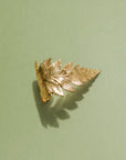 Corella Ring