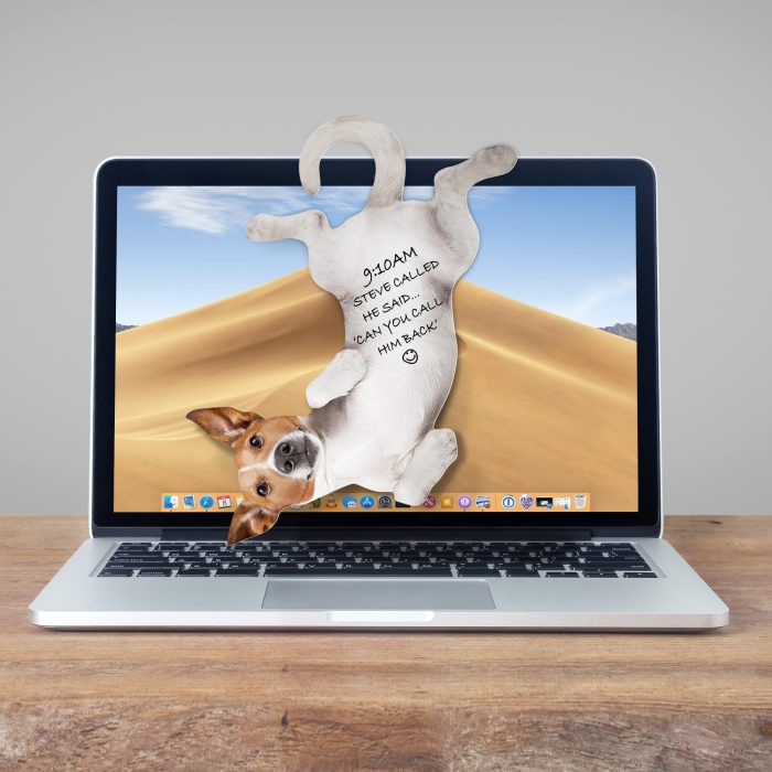 Dog Asılabilir Notluk