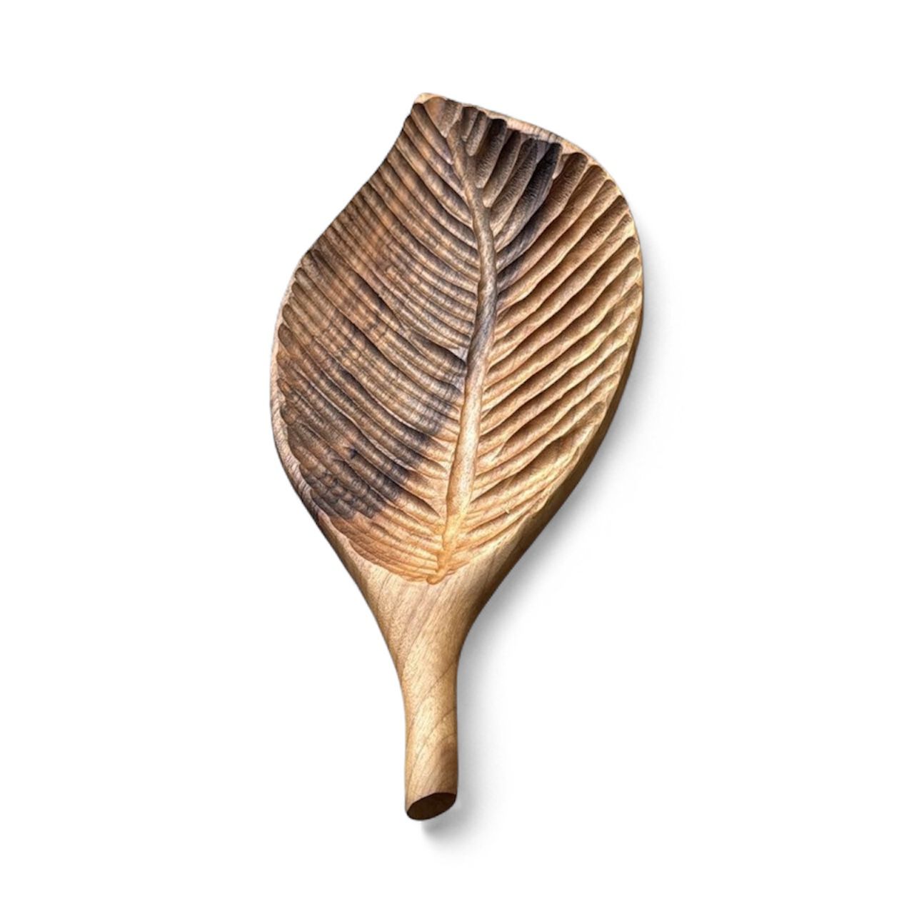 Collection Image